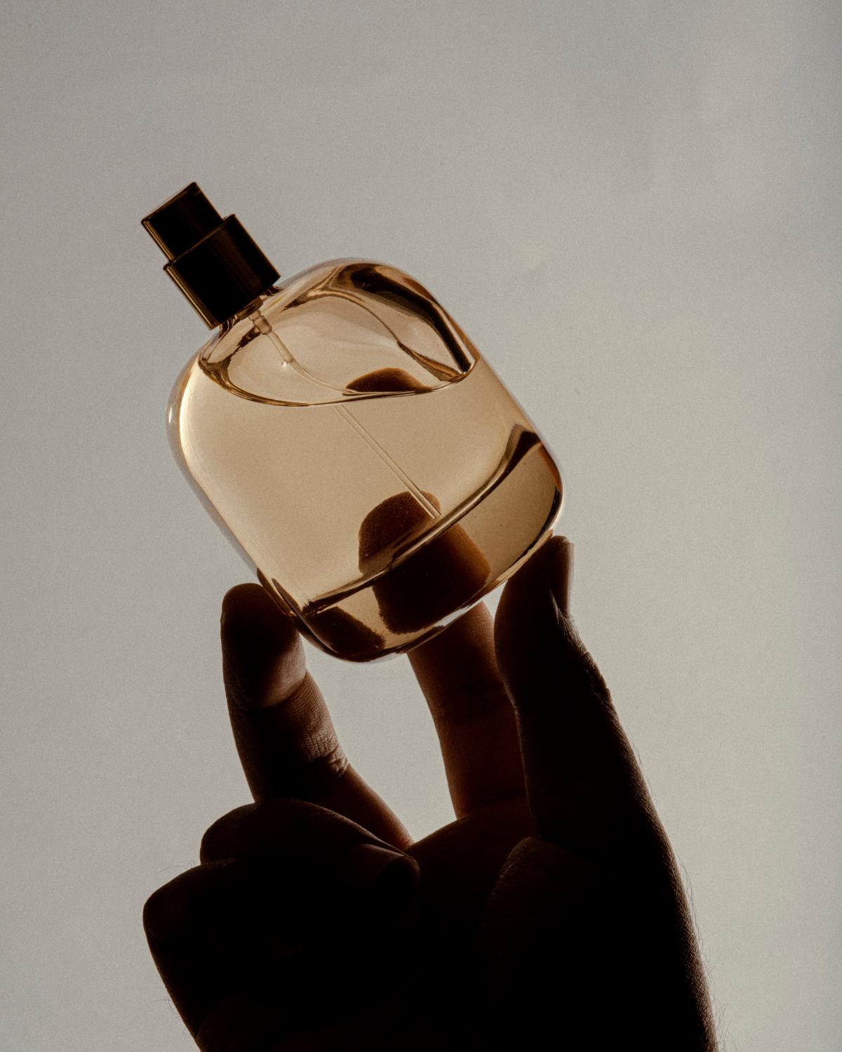 Perfume